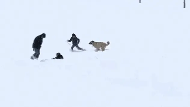 Arguvan'da Kar Altında Gülümseten Görüntüler