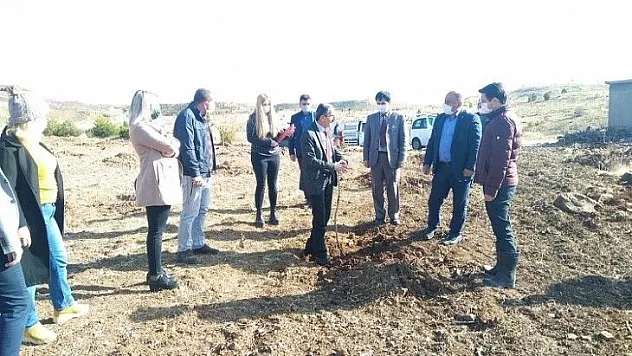 Badem Yetiştiriciliğinin Yaygınlaştırılması Projesi kapsamında fidanlar dikildi..