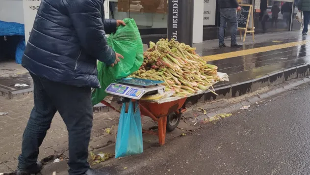 Baharın Müjdecisi 'ışkın' tezgahlarda yerini aldı