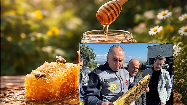 Bal Üretiminde Rekor Rakamlar: Arıcılıkta Verimlilik Öne Çıktı