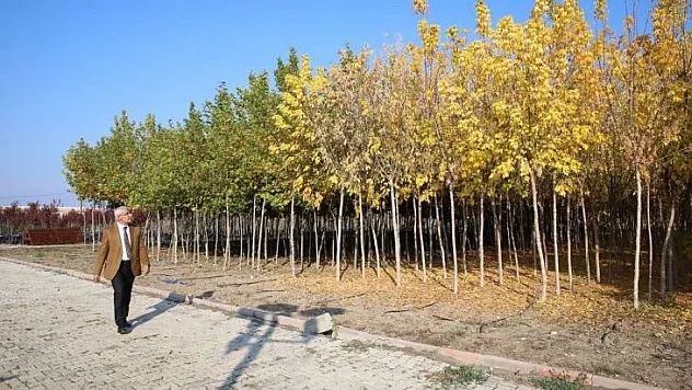 Başkan Güder: '500 Binin Üzerinde Fidanı İlçemizle Buluşturduk'