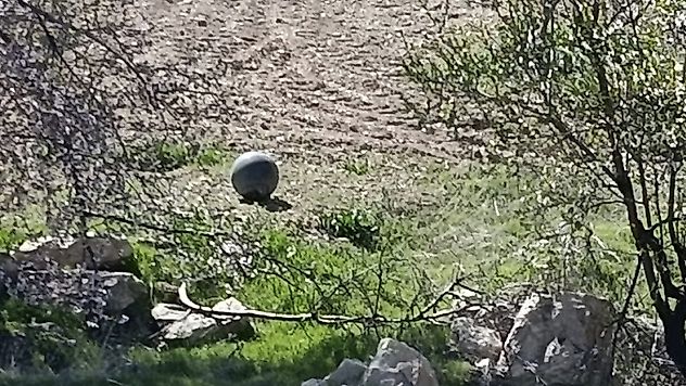 Baskil'de Bulunan Şüpheli Cisim Paniğe Neden Oldu