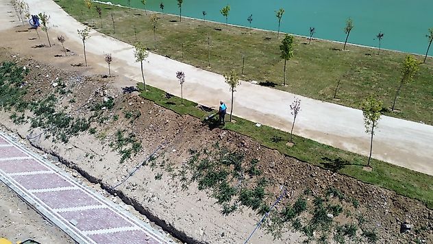 Belediyenin Ürettiği Çimler ve Bitkiler Yeni Projelere Hayat Veriyor