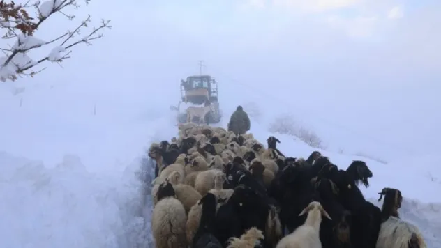Beydağı'nı Aşan Battalgazi Belediyesi Ekipleri, Üretici Ve Hayvanlarını Kurtardı