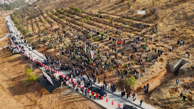 Beydağı Tabiat Parkı'ndaki 6 Şubat Depremi Hatıra Ormanı Yeniden Yeşeriyor