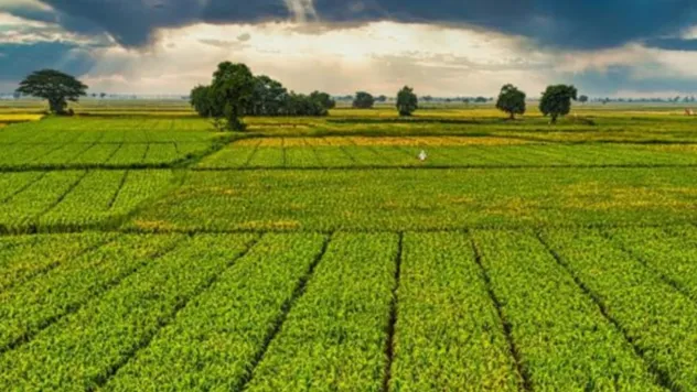 Bir milyar 46 milyon liralık tarımsal destek ödemeleri çiftçinin hesabına yatırılacak