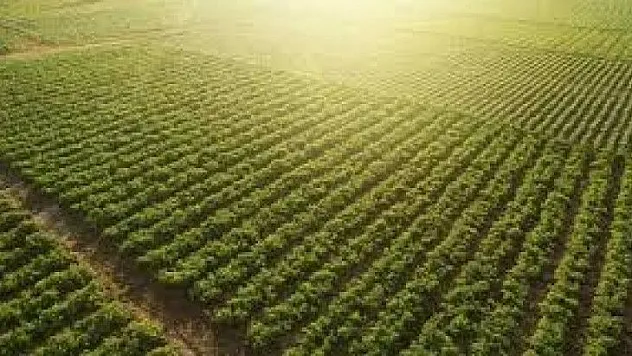 Biyolojik Ve Biyoteknik Mücadele