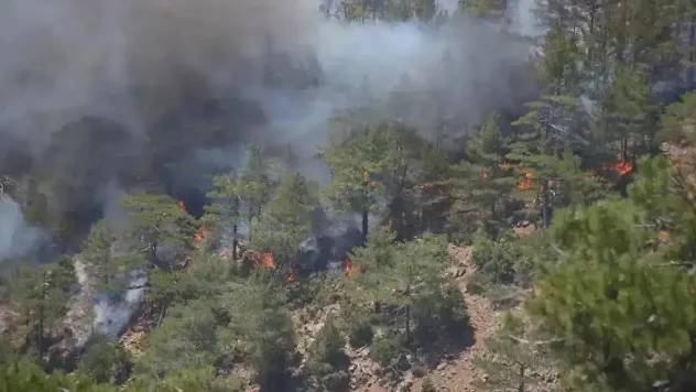 Bolu'da ormanlık alanda yangın çıktı