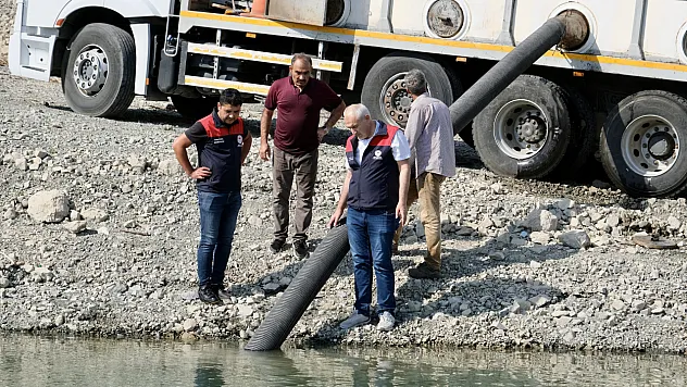 Boztepe ve Kapıkaya Barajlarına Binlerce Yavru Sazan