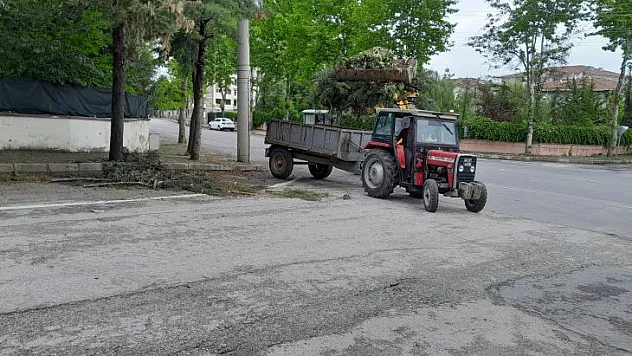 Büyükşehir Belediyesi Parkları Ve Refüjleri Yeniliyor