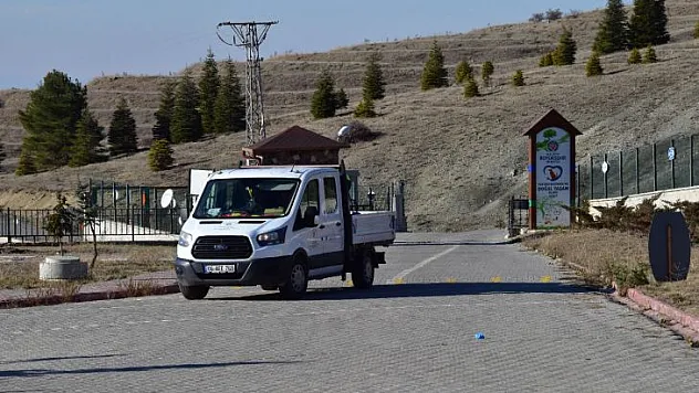 Büyükşehir Belediyesinden Sokak Hayvanlarına Şefkat eli