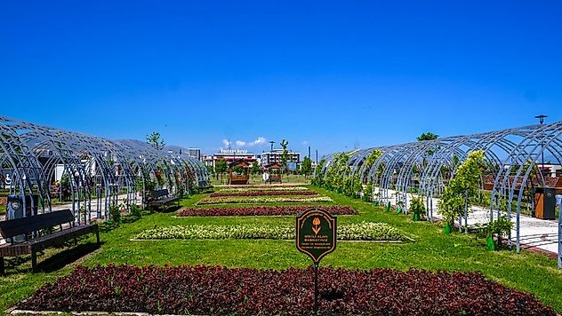 Büyükşehir'den Kent Estetiğine 831 Bin Çiçeklik Dokunuş