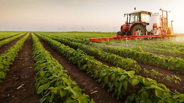 Çiftçilere Dev Destek: Hesaplara 12,8 Milyar Lira Aktarılıyor