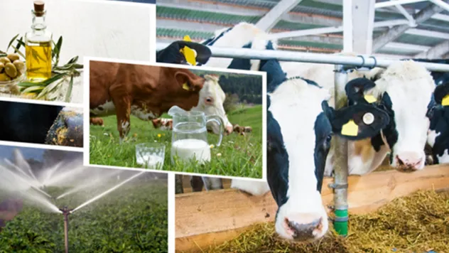 Çiftçilere tarımsal destekleme ödemesi yapılacak