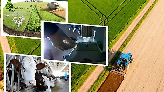 Çiftçiye Dev Destek Ödemesi: 1,3 Milyar Lira Bugün Hesaplarda