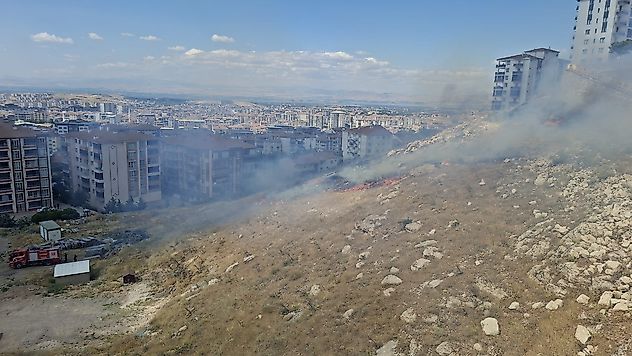 Çöşnük'te Ot Yangını Korkuttu