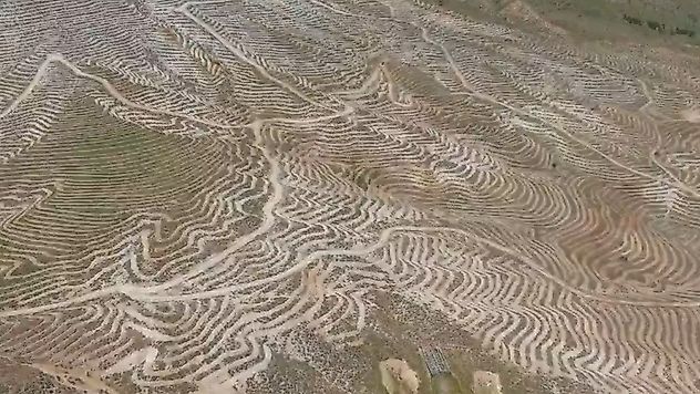 Dağlar Nakış Gibi İşleniyor: Doğanşehir'de Dev Ağaçlandırma Hamlesi