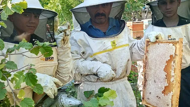 Darende balının sırrı keven ve kekik