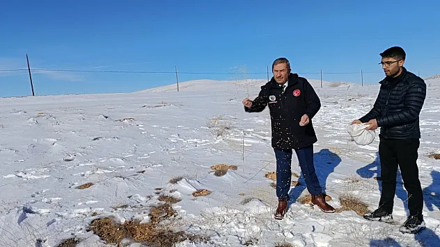 Darende Belediyesi Zorlu Kışta Yaban Hayatını Unutmadı