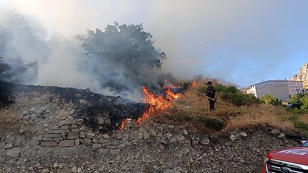 Darende'de Ot Yangını: Kayısı Bahçesi Zarar Gördü