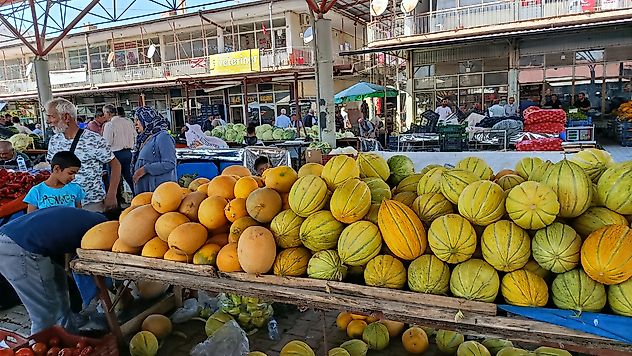 Darende'nin Meşhur Irmaklı Kavunu Tezgâhlarda Yerini Aldı