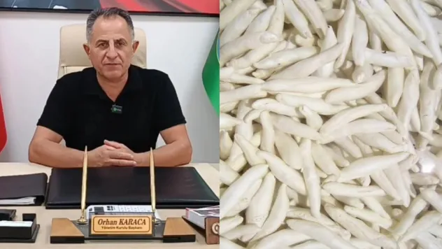 Darende Ziraat Odası, Kenger Sakızını Marka Değerine Dönüştürüyor