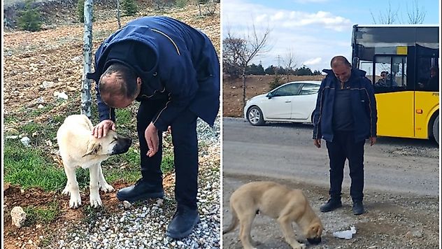 'Dilsiz Canlılara Yardım Eli' Malatya'da Sokak Köpeğine Müdahale