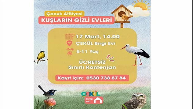 Doğa ile Buluşma Zamanı: Kuşların Gizli Evleri Atölyesi Çocukları Bekliyor