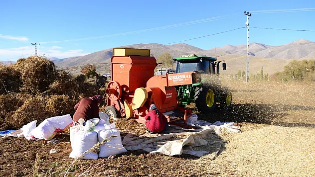 Doğanşehir'de Kuru Fasulye Hasadı Başladı