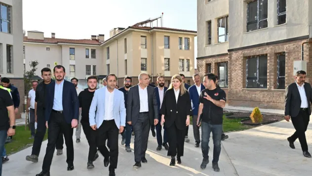 Doğanşehir'de Yerinde İnceleme