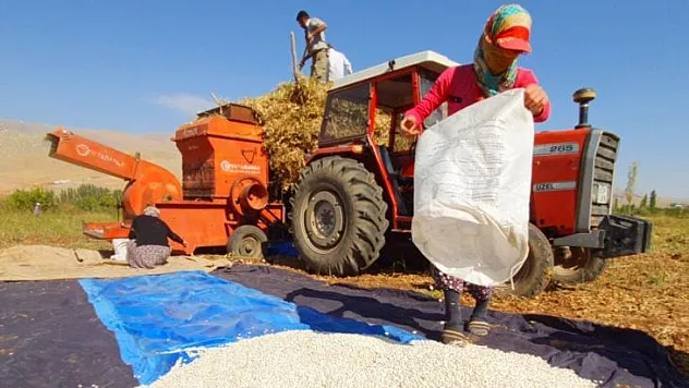 Doğanşehir Fasulyesi Artık Esenlik Raflarında