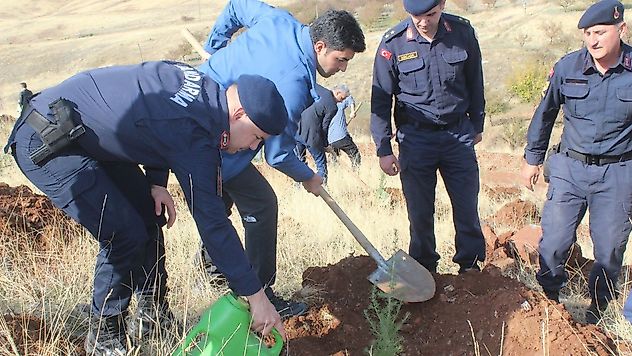 Doğanşehir İlçesinde 'Milli Ağaçlandırma Gününde' Fidanlar Toprakla Buluşturuldu