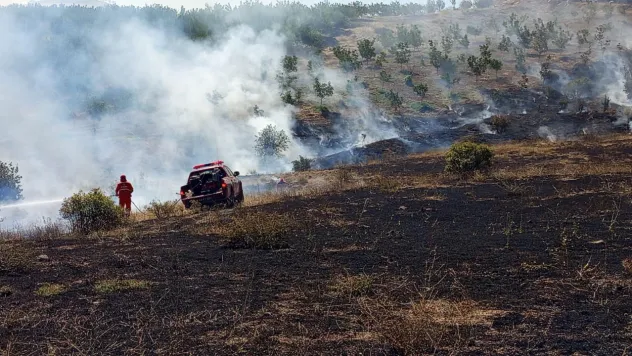 Doğanyol'da orman yangını
