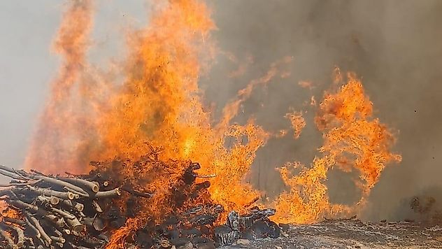 Doğanyol'daki yangın yerleşim alanlarına ulaştı