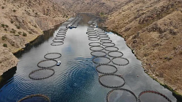 Doğu Anadolu'da Su Ürünleri Yatırımına Yeni Alanlar