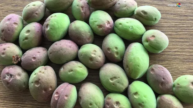 Dolu Zararı Ve Korunma Yolları