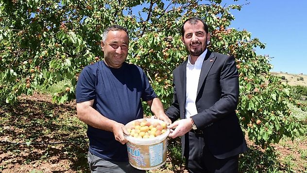 Donun Ardından Umut Veren Hasat