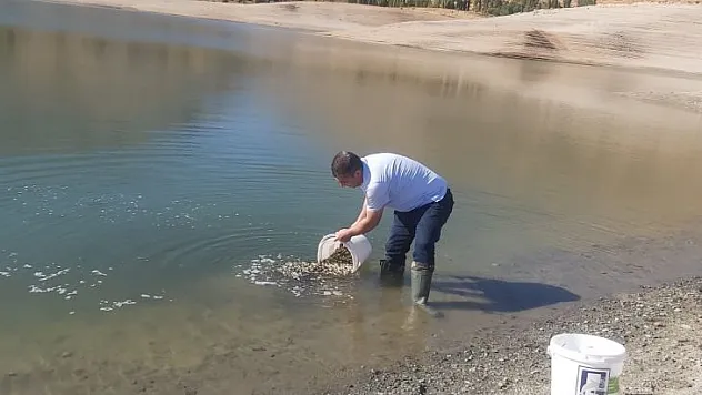 Dsi 9. Bölge Müdürlüğü Tarafından, 21 Adet Baraj Gölüne 5 Milyon Adet Yavru Balık Bırakılacak.