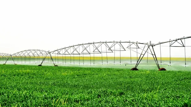 DSİ'den 2025 Hamlesi: 64 Bin Hektar Yeni Alan Sulamaya Açılıyor