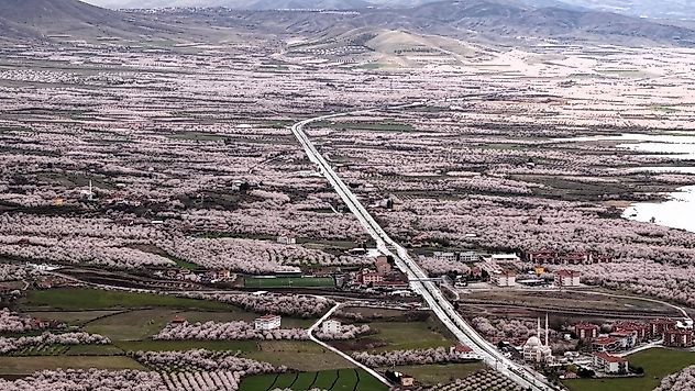 Dünya Kayısısının Başkenti Malatya'da Çiçek Açan Bahçeler Kartpostallık Görünümde