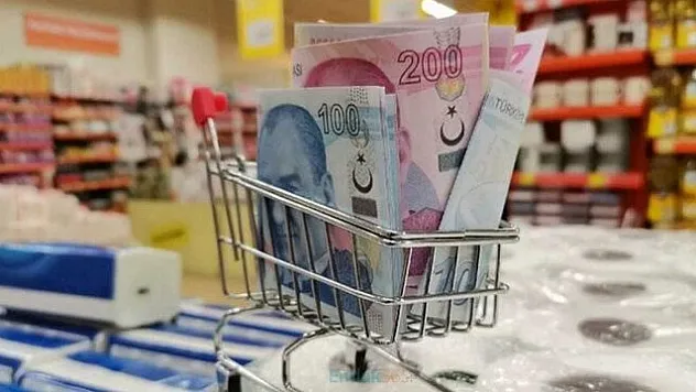 Düşük enflasyon verileri ile Anayasa'nın 'mali güç' kavramı ihlal ediliyor