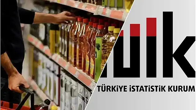 Ekonomik güven endeksi şubatta 100,7 oldu