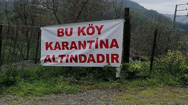 Elazığ'da Çiçek Hastalığı Alarmı! 6 Köyde Karantina