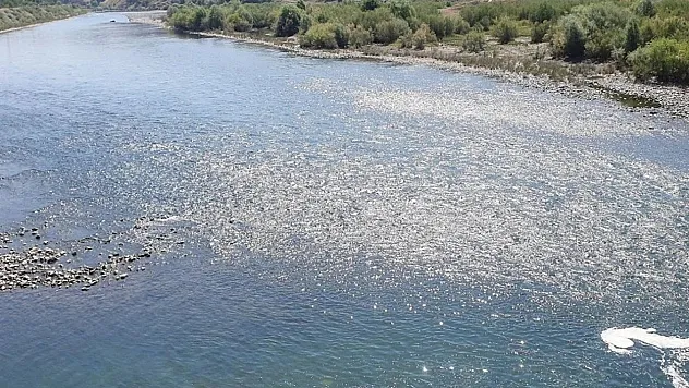 Elazığ'da nehre giren adam kayboldu
