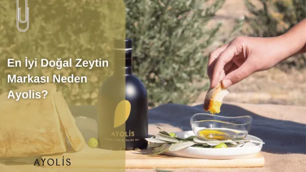 En İyi Doğal Zeytin Markası Neden Ayolis?