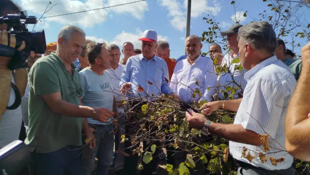 Fındık kuraklık vurgunu yedi, rekolte tahminini tutturabilmemiz mümkün görünmüyor
