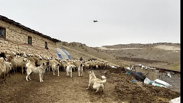 Gökyüzünden Gelen Misafire Sert Müdahale