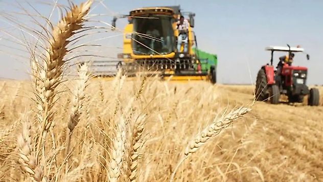 Güneydoğu'nun hububat sektörü ihracatı 8 ayda 2,5 milyar dolara ulaştı
