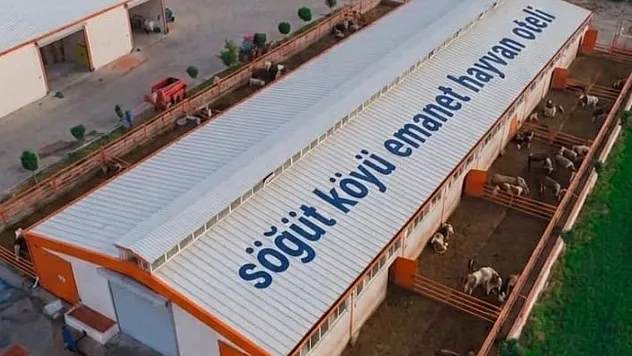 Gurbetçilerin Hayvanları Artık Güvende