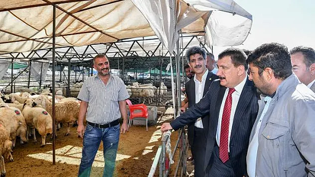 Başkan Gürkan Canlı Hayvan Pazarında İncelemelerde Bulundu